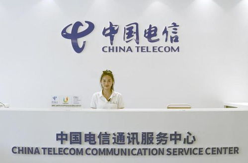 優(yōu)質(zhì)網(wǎng)絡(luò)與科技體驗(yàn) 中國電信為大運(yùn)村提供綜合智能信息服務(wù)